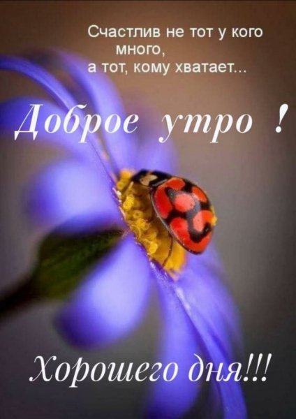 Доброе утро