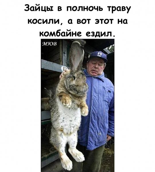 FB IMG 1775991992845