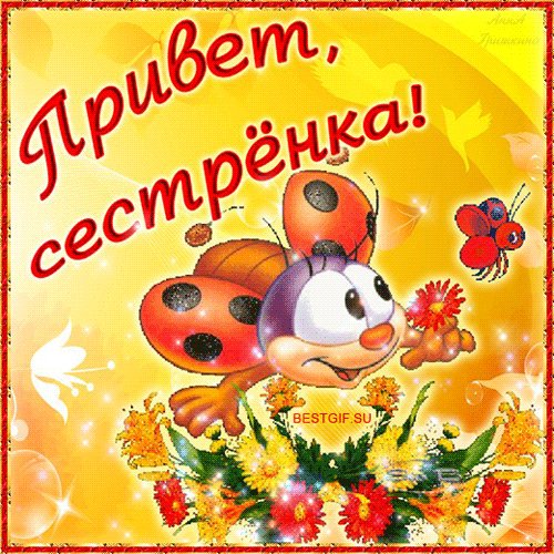 file_48479894