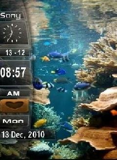 Sony Морское дно