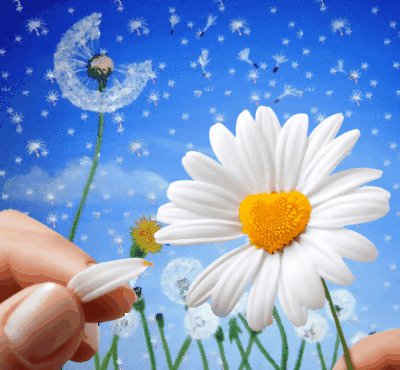 Любит-не любит