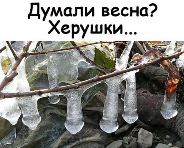IMG 20260428 211609 775