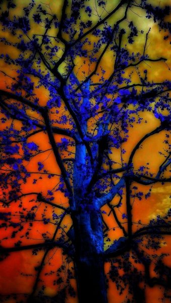 D467c4944fdfd626e0bbf032f3d76da6