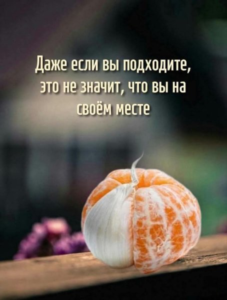 FB IMG 1760817153408