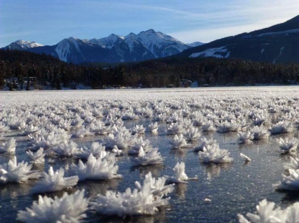 IMG 20190328 134652 776