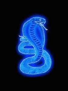 НЕОН-КОБРА