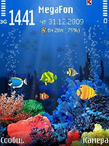 Reef
