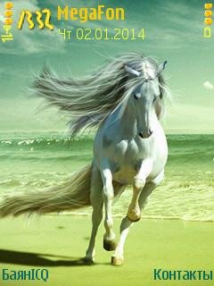 Horse white белая лошадь 2014