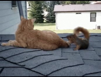 Дружбаны!