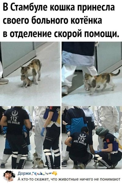 file_102467413