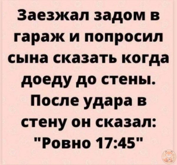 IMG 20250816 094028 322