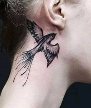 FB IMG 16378794889548944