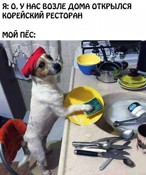 file_102433109