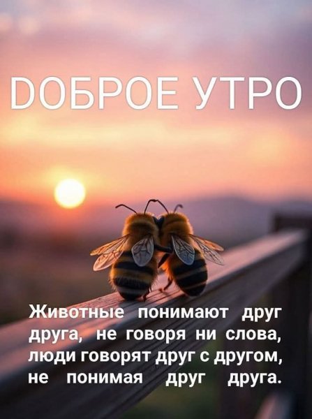 FB IMG 1747742149986