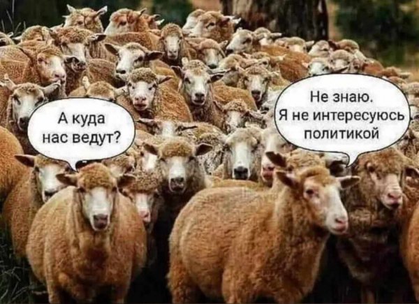 FB IMG 1775153405538