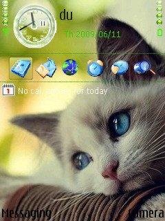 theme 29758