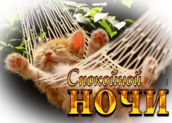 GIF-e87891e2c1089777696e7c2ab5991d37