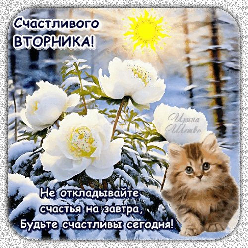 Анимированная открытка счастливого вторника