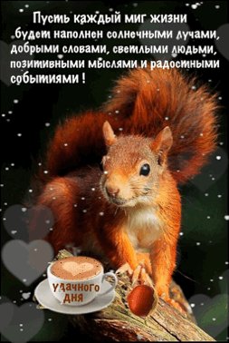 file_89965407