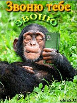Звоню тебе звоню...