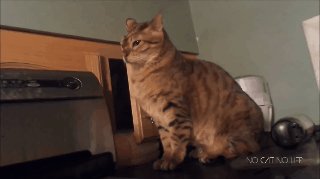 2ve5uvIOe9439image 1. 000