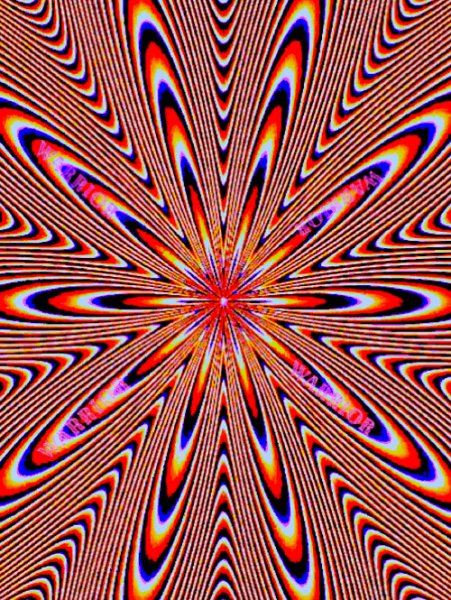 e439440bd79cf25eb20a82d