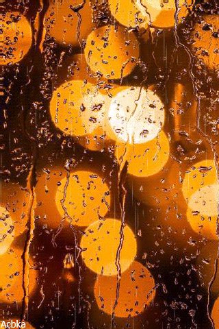 file_78212361