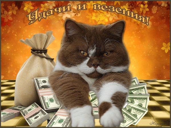 Удачи везения!