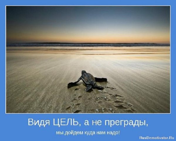 Видя цель...