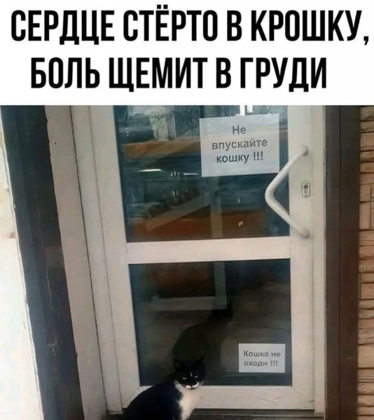 FB IMG 1775991840876