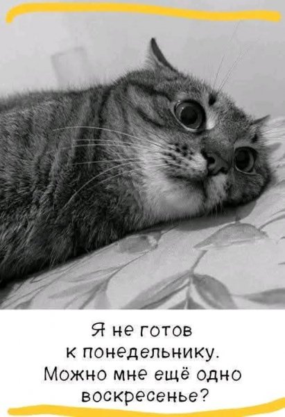 FB IMG 1772564975851