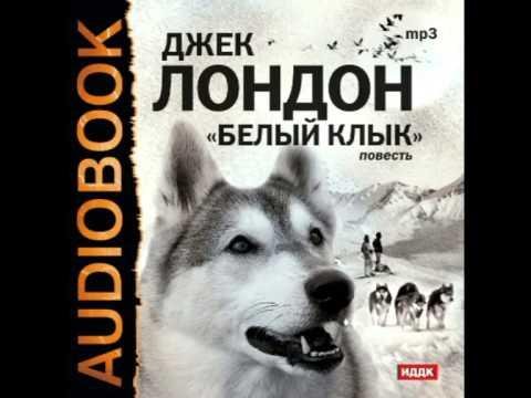 белый клык