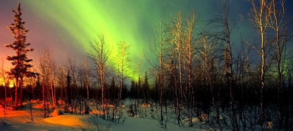 Screenshot 2026-03-20-01-21-14-67 com.google.android.youtube