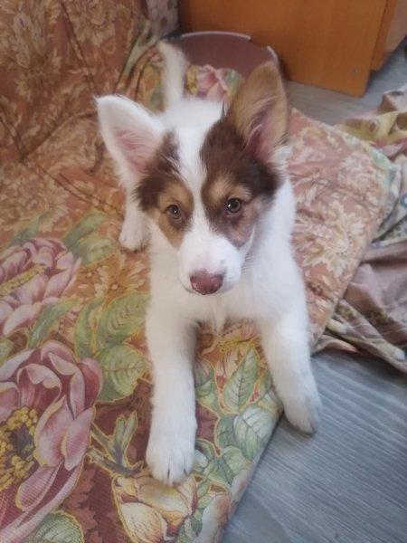 XEFFYBBKYFBHCV4LMDBE