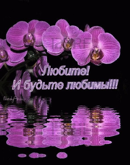 file_64272320