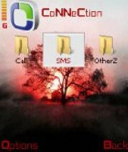 sunsettreed-bx-denovo