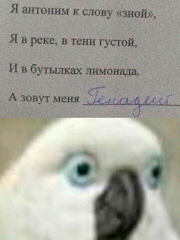 I - 2026-04-26T173653.549