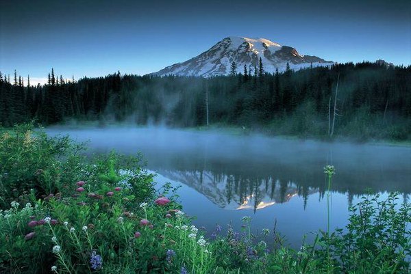 Природа - Волшебные звуки ночного леса