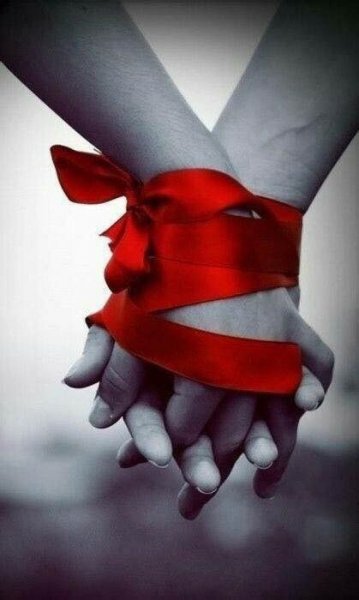 53f446744bb184204c1f94da3e09b666