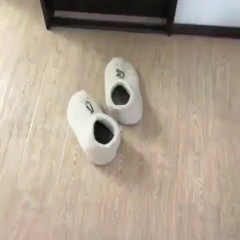 явдомике