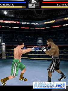 fight-night-round-4 128x160 s40