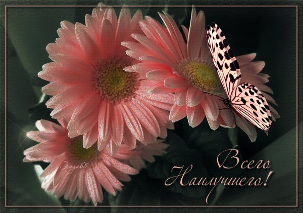 0 16bd80 e08805c6 orig