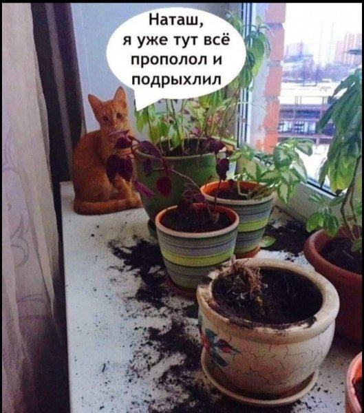 FB IMG 1777393335882