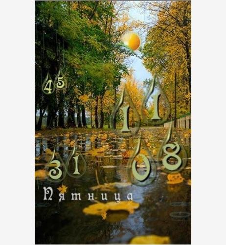 х560 Осень День ночь