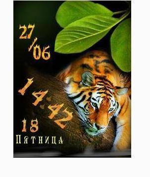 27.06.Tigrа