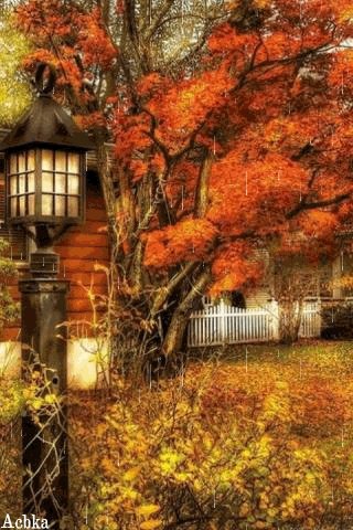 file_94819165