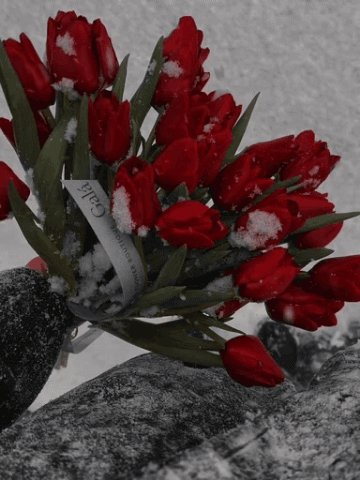 IMG 20260114 061754