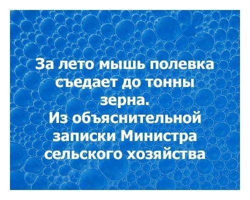 IMG 20260324 072625 341