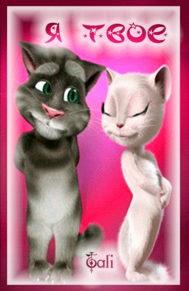 IMG 20180221 085630 177