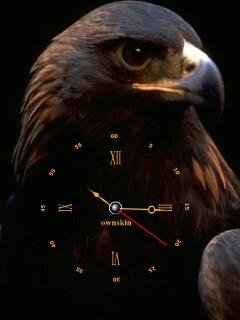 Eagle Орел анимация флэш часы